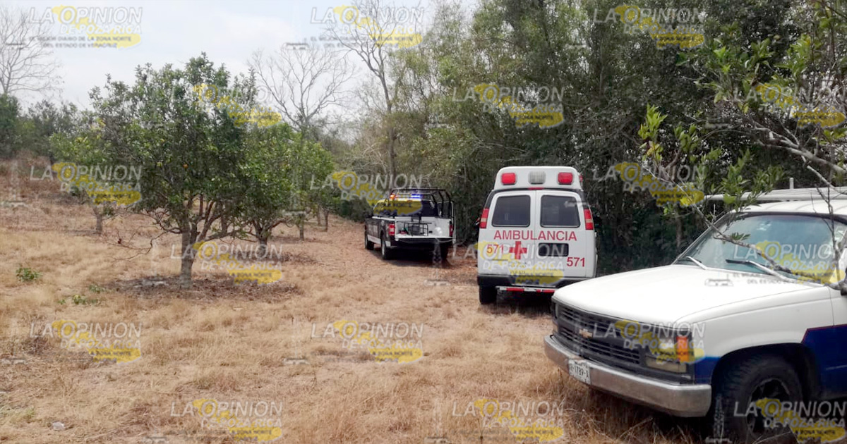 Muere tras ser golpeado por la rama de un árbol