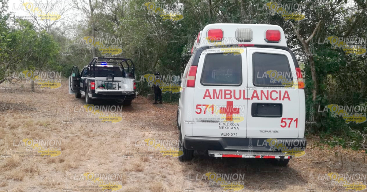 Muere tras ser golpeado por la rama de un árbol