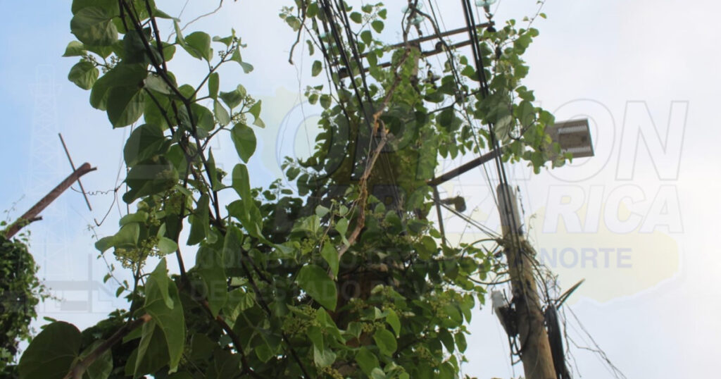 Poza Rica ¿La nueva Babilonia?