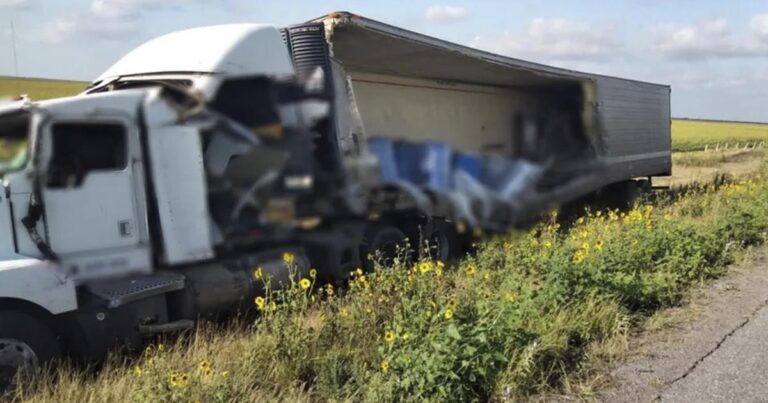 Se estrella tráiler en Tamaulipas; llevaba 4 toneladas de perros y gatos muertos