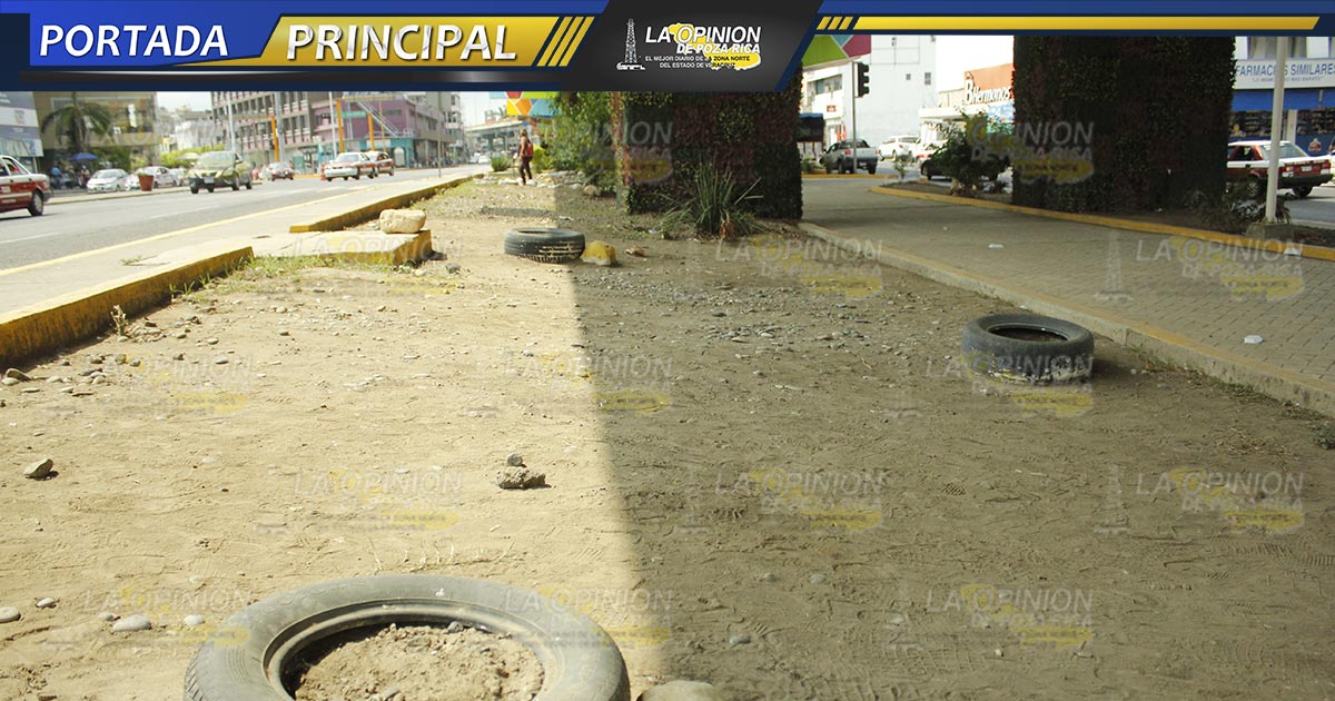 Se pierden áreas verdes