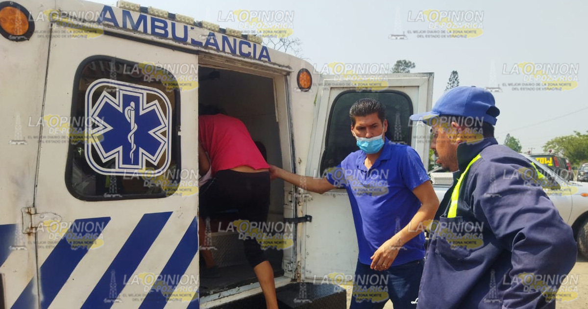 ¡Serpiente venenosa ataca niña de 3 años!