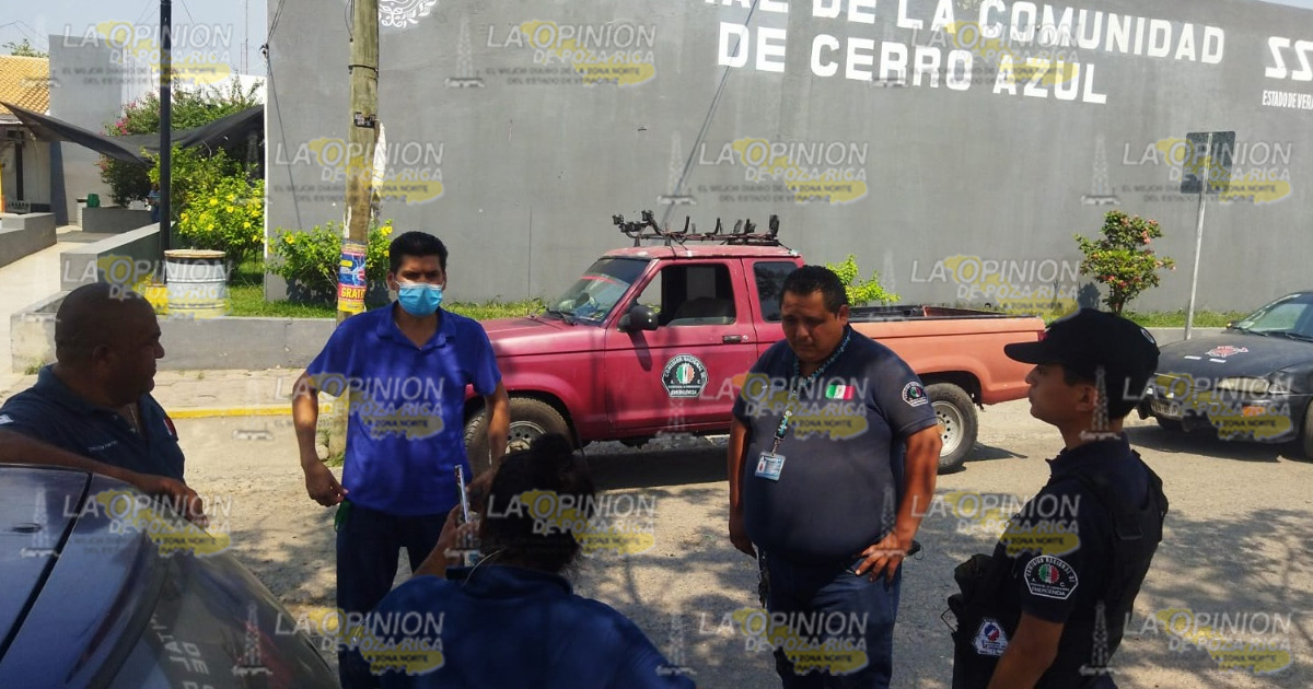 ¡Serpiente venenosa ataca niña de 3 años!