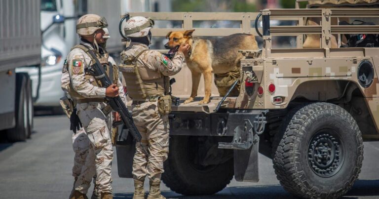 Soldados se "enamoran" de "narcoperro" hallado en Tijuana