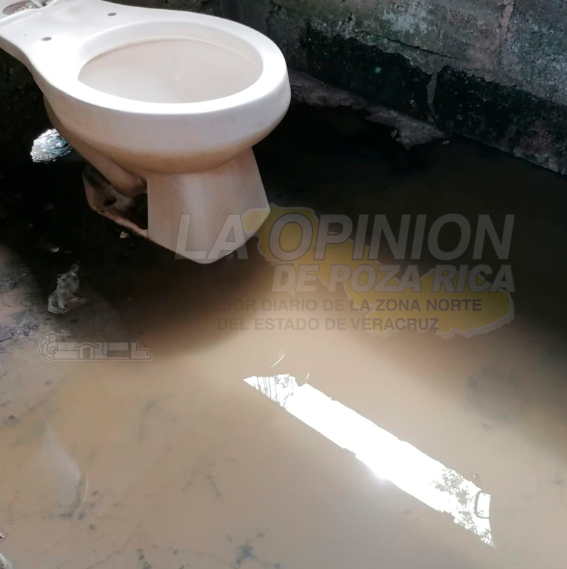 Familias viven sobre el drenaje; ya hay infantes enfermos