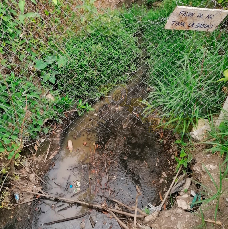 Familias viven sobre el drenaje; ya hay infantes enfermos