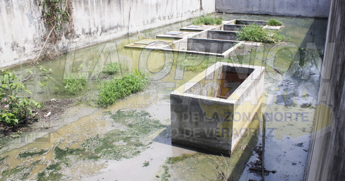 Familias viven sobre el drenaje; ya hay infantes enfermos