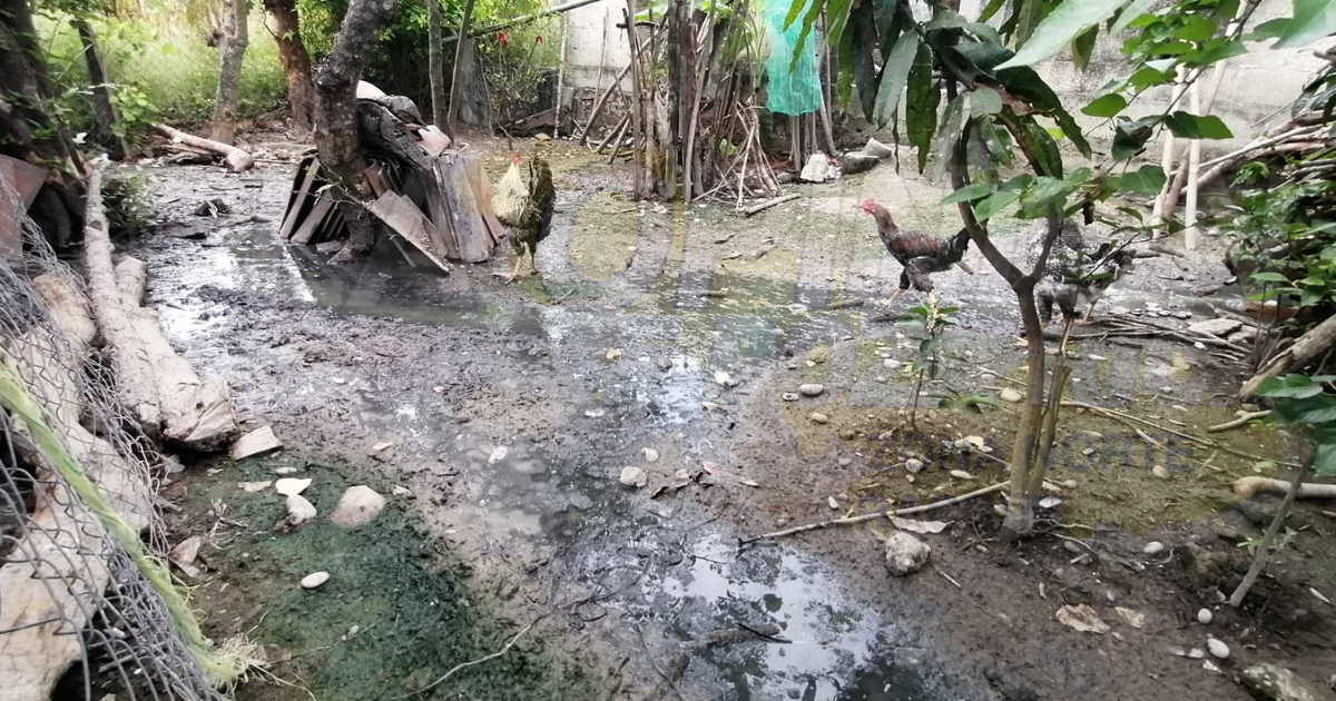 Familias viven sobre el drenaje; ya hay infantes enfermos