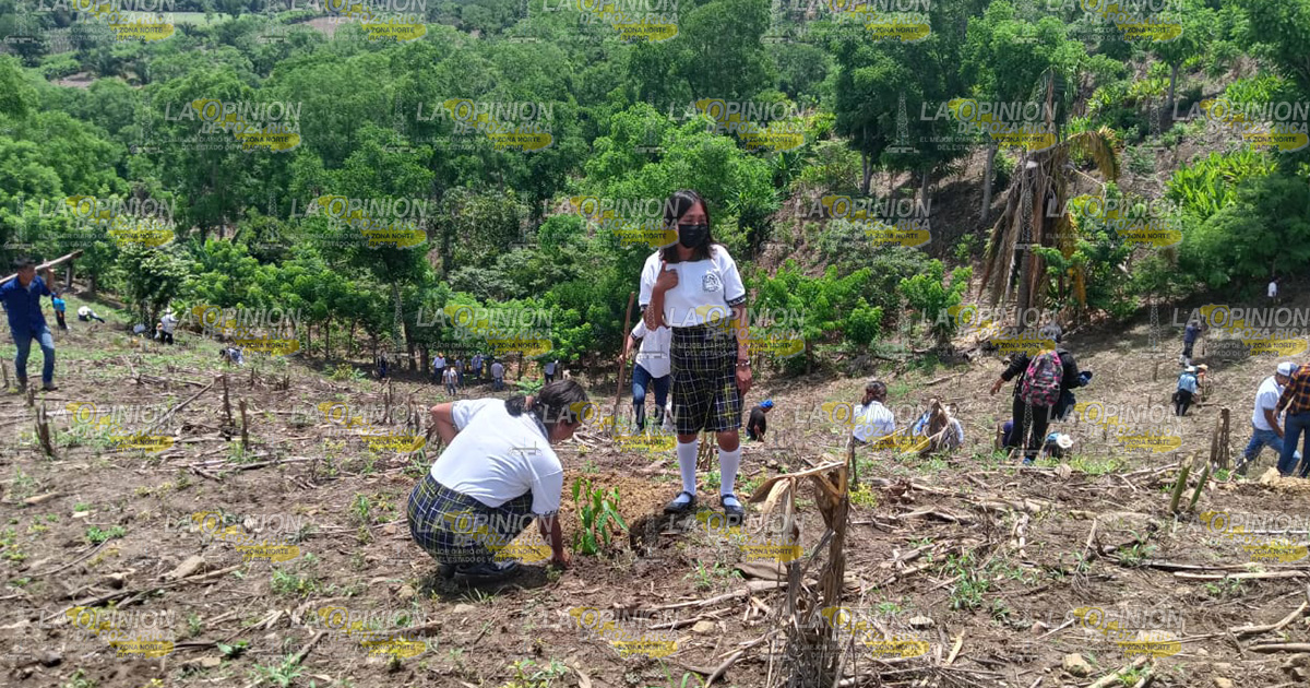 Arranca tercera jornada nacional de siembra Arranca tercera jornada nacional de siembra2