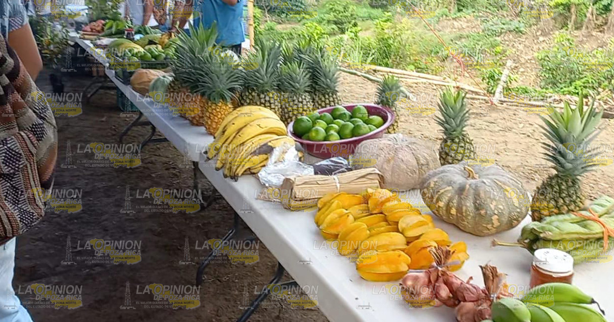 Arranca tercera jornada nacional de siembra Arranca tercera jornada nacional de siembra4
