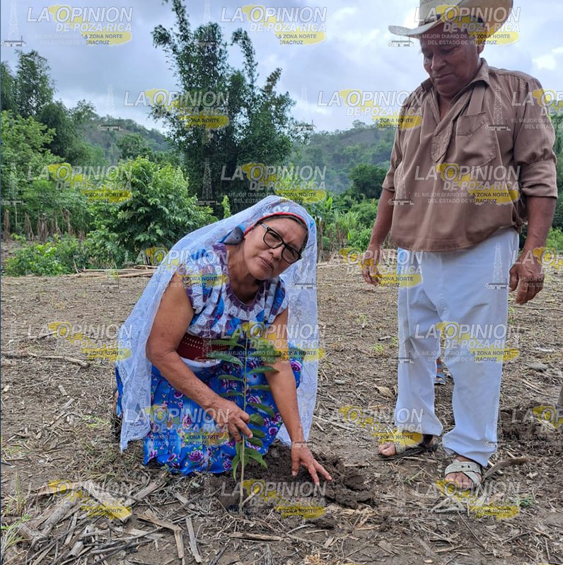 Arranca tercera jornada nacional de siembra Arranca tercera jornada nacional de siembra7
