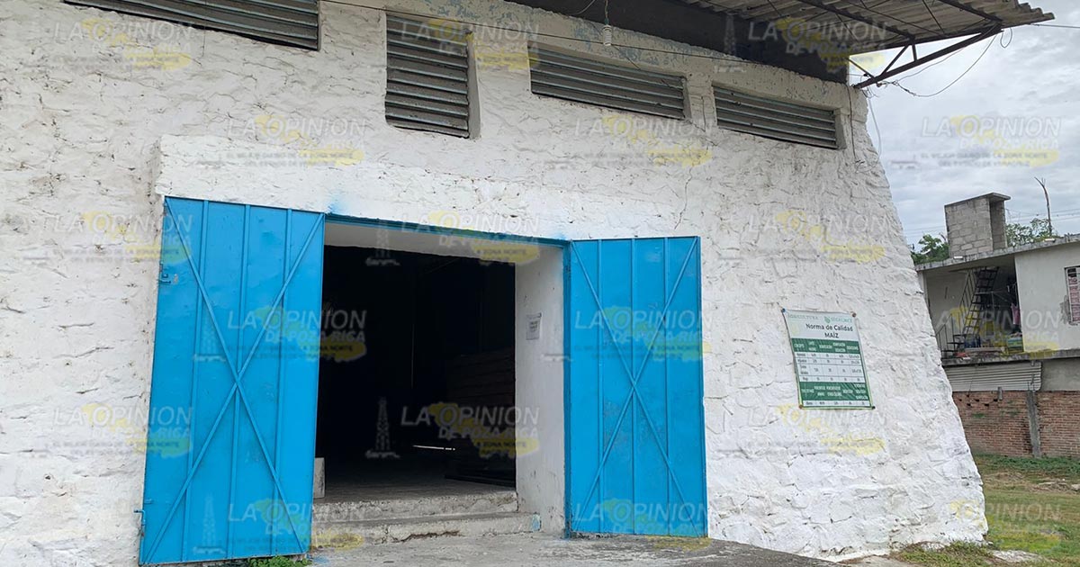 Baja recepción de maíz en centro de acopio Segalmex Baja recepción de maíz en centro de acopio Segalmex 2