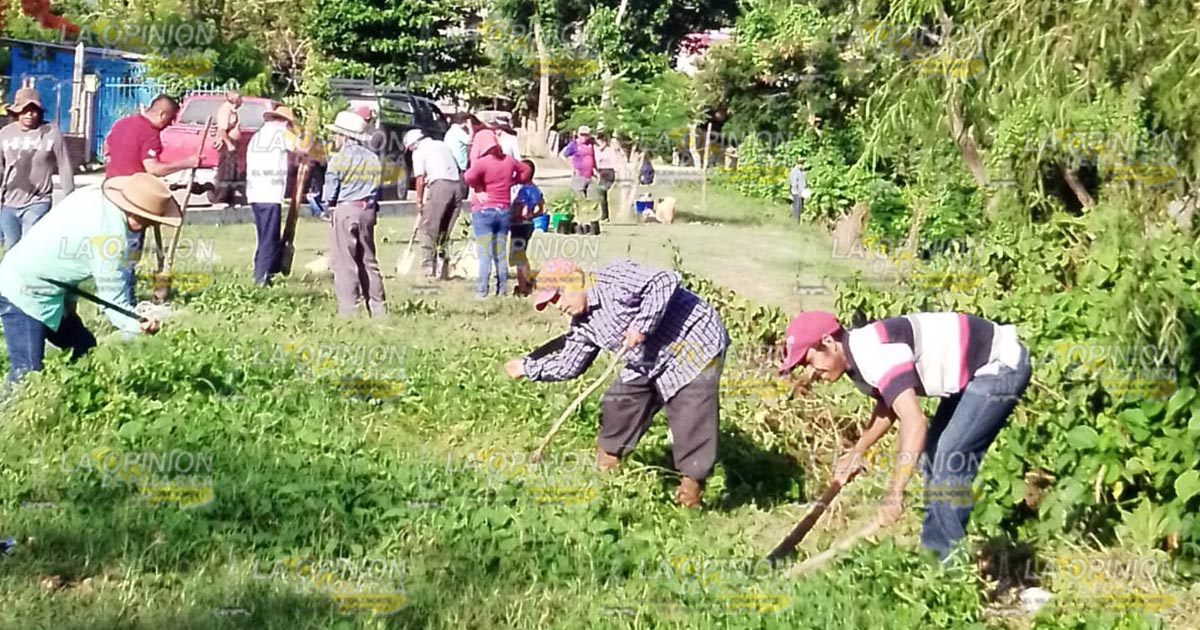 Ciudadanos reforestan la ribera del río Cazones