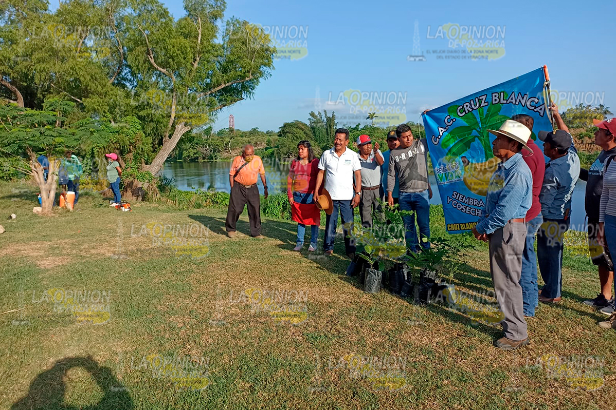Ciudadanos reforestan la ribera del río Cazones Ciudadanos reforestan la ribera del río Cazones 4