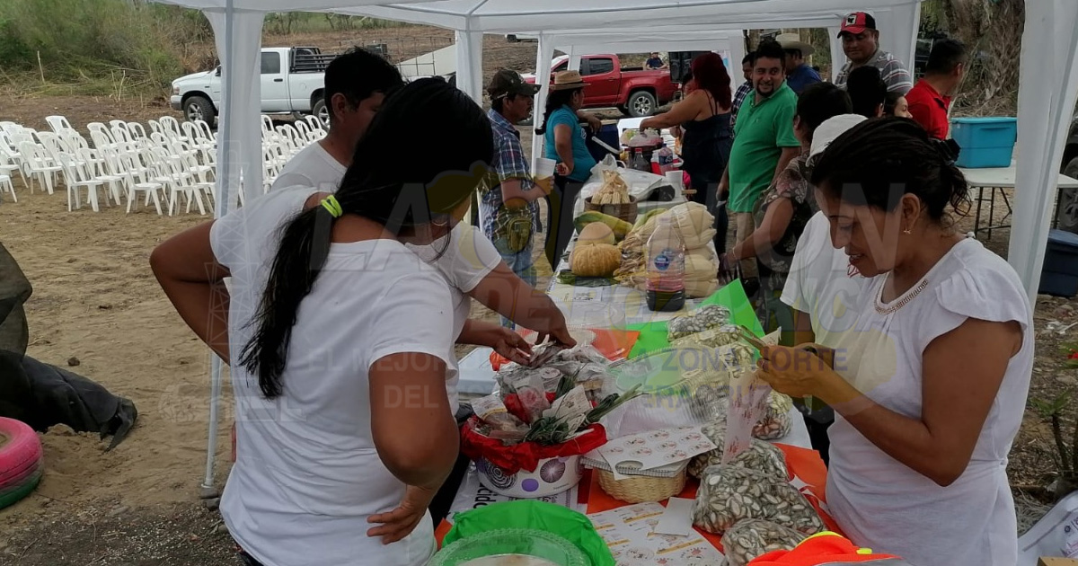 Coatzintla, primer municipio a nivel nacional en usar nueva tecnología aroecológica