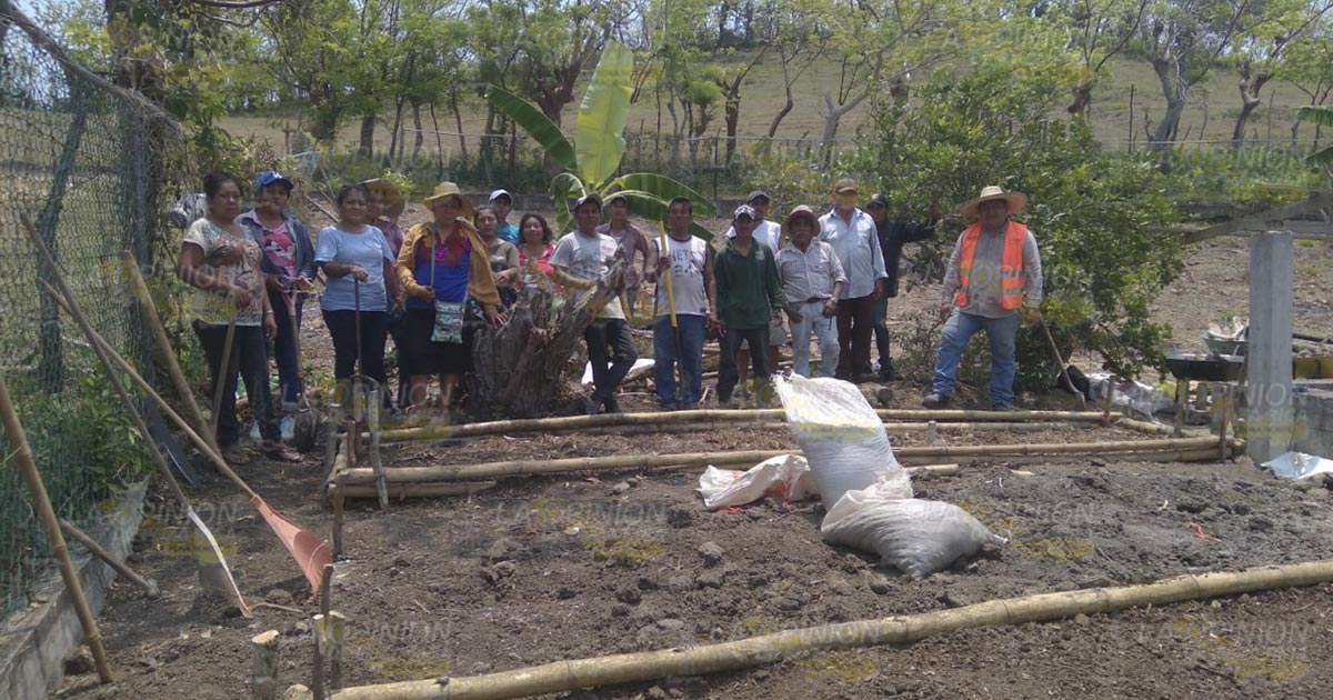 Con huertos comunitarios fomentan el autoconsumo en familias cazoneñas