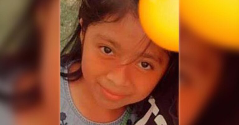 Desaparece menor papanteca