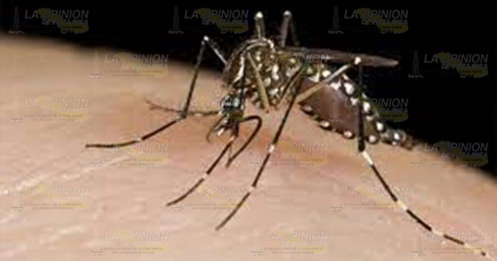 En alerta por temporada con mayor presencia de casos de dengue; van dos en Tihuatlán