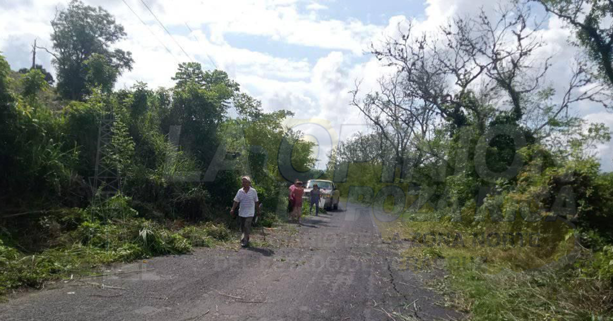Habitantes de ojo de agua retiran maleza de carretera Habitantes de ojo de agua retiran maleza de carretera