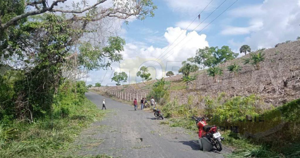 Habitantes de ojo de agua retiran maleza de carretera