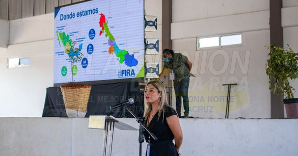 Virar a lo orgánico, llaman a productores