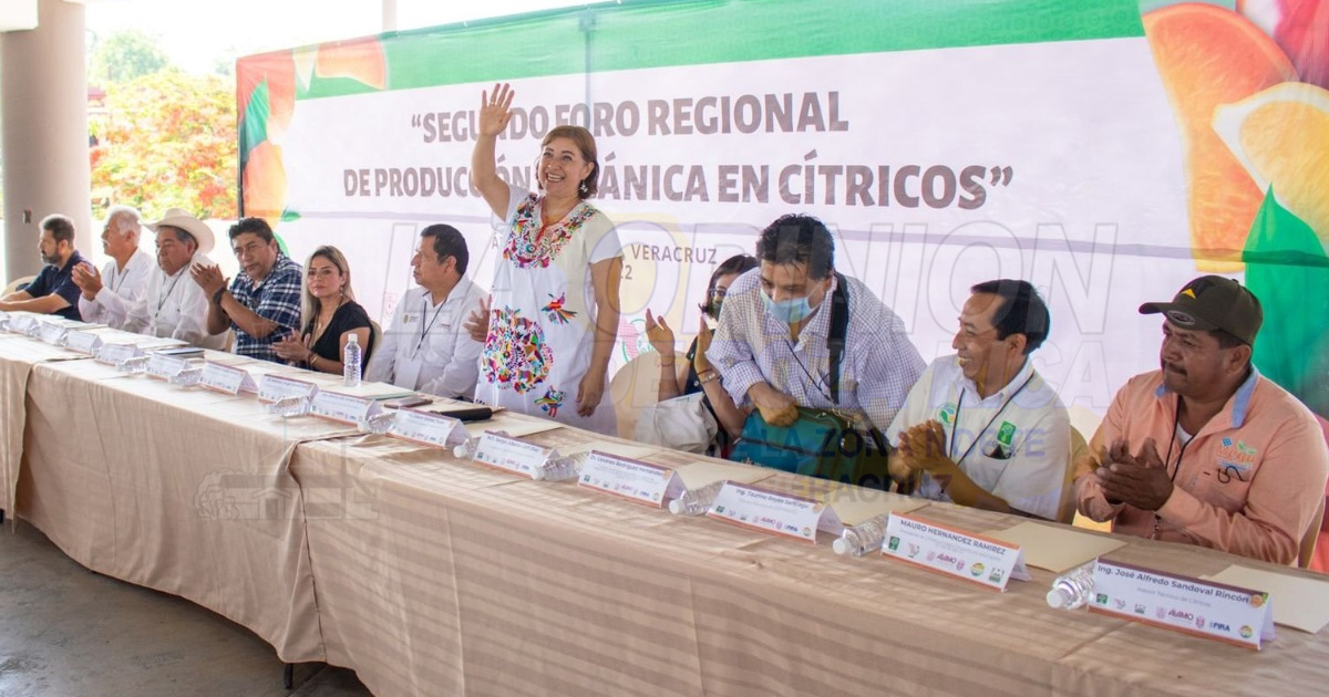 Virar a lo orgánico, llaman a productores