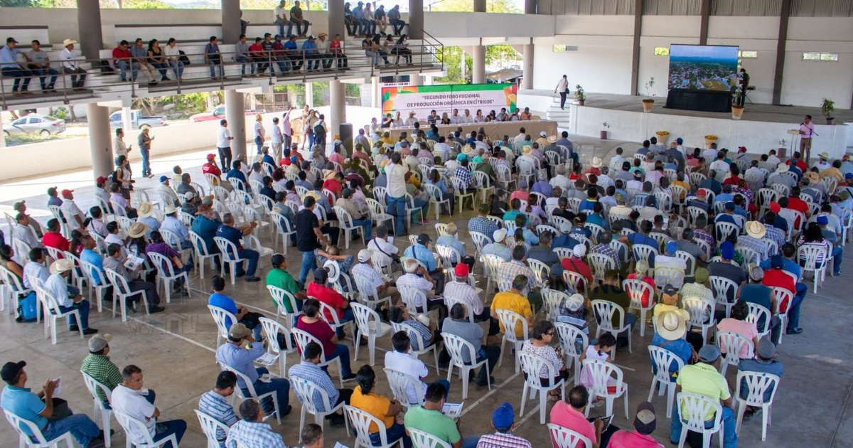 Virar a lo orgánico, llaman a productores