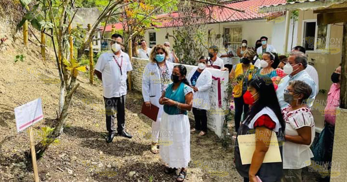 Inauguran huerto de plantas medicinales 2