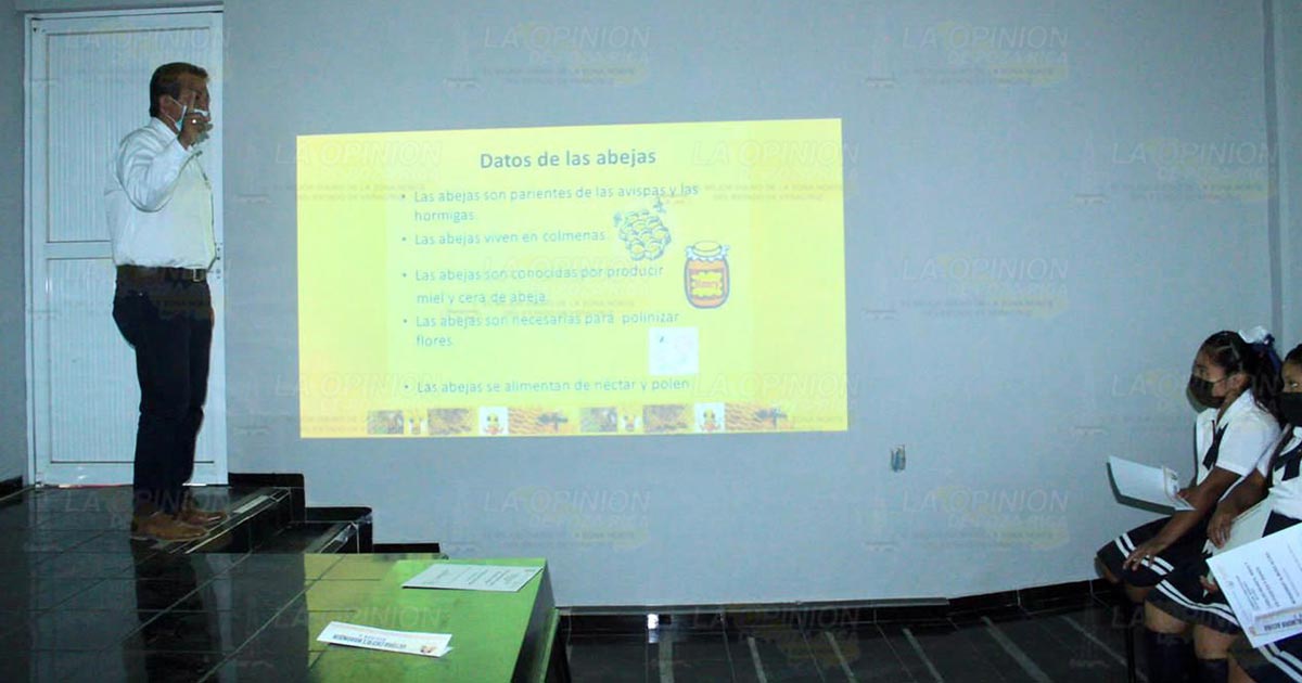 Promueven el rescate de las abejas
