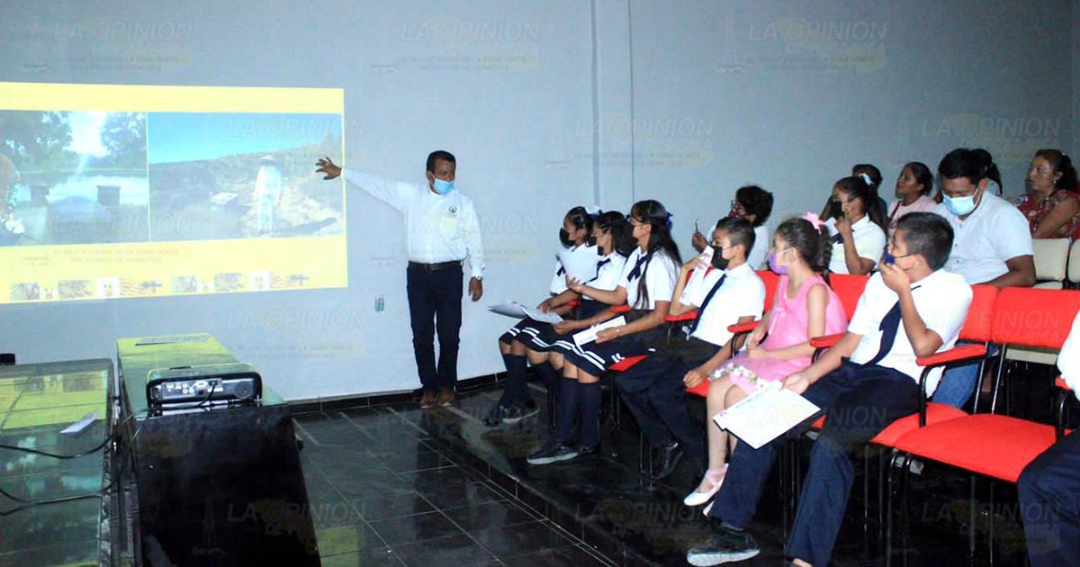 Promueven el rescate de las abejas Promueven el rescate de las abejas 2