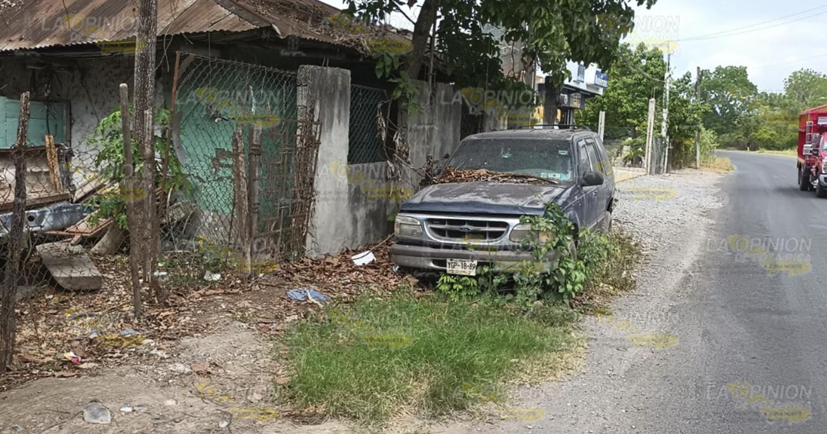 Ultimátum a dueños de “carros maceta” en Álamo Ultimátum a dueños de “carros maceta” en Álamo 2