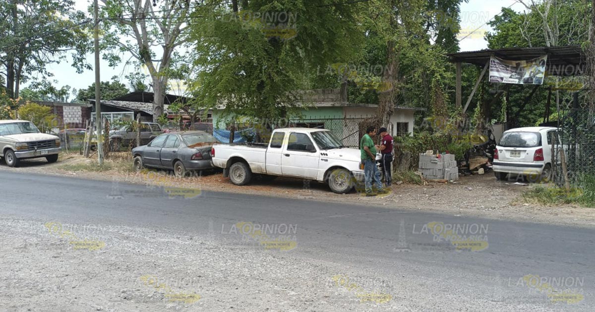 Ultimátum a dueños de “carros maceta” en Álamo Ultimátum a dueños de “carros maceta” en Álamo 3