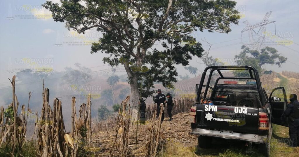Incendio acaba con maizal