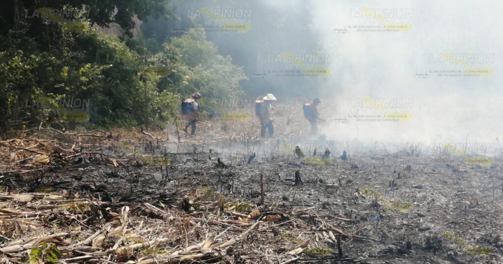 Incendio acaba con maizal