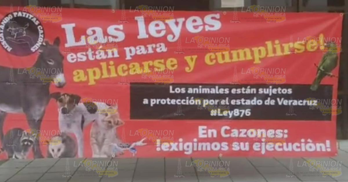 Alcalde de Cazones, terco a obedecer y cumplir con la Ley; animalistas Alcalde de Cazones, terco a obedecer y cumplir con la Ley; animalistas
