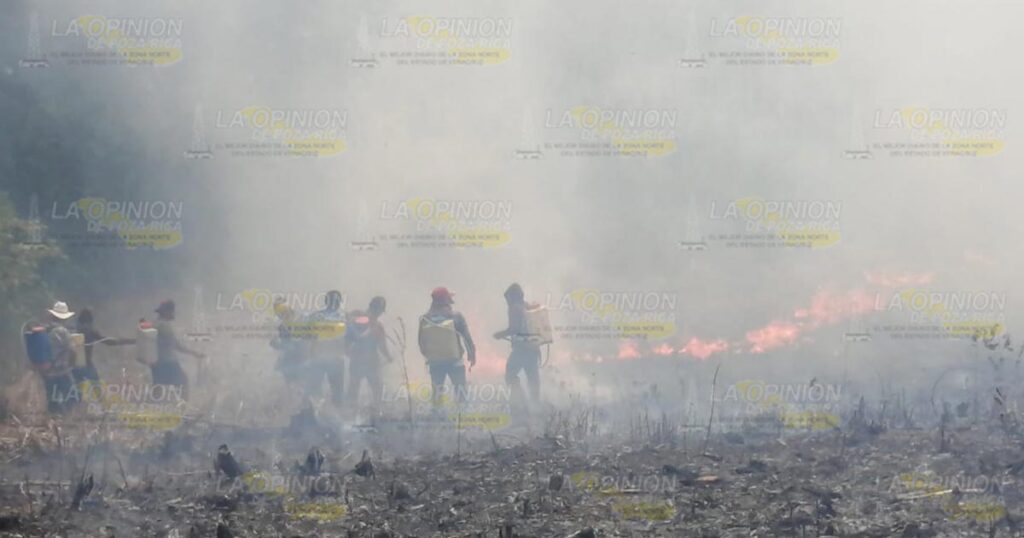 Incendio acaba con maizal