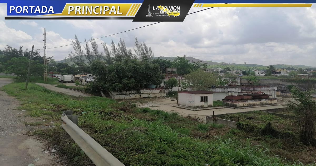 Centro de Bienestar Animal, en el olvido