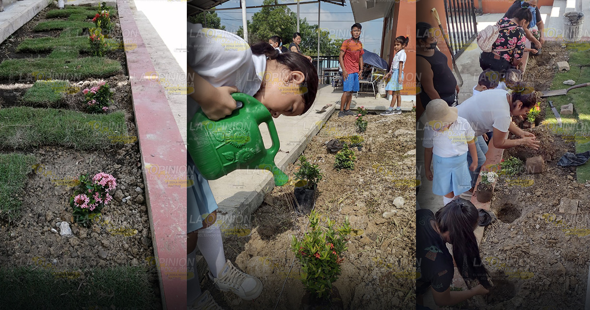 Embellecen con plantas de ornato el preescolar Kaxanatua "Un lugar de flores", en totonaco Embellecen con plantas de ornato el preescolar Kaxanatua "Un lugar de flores", en totonaco