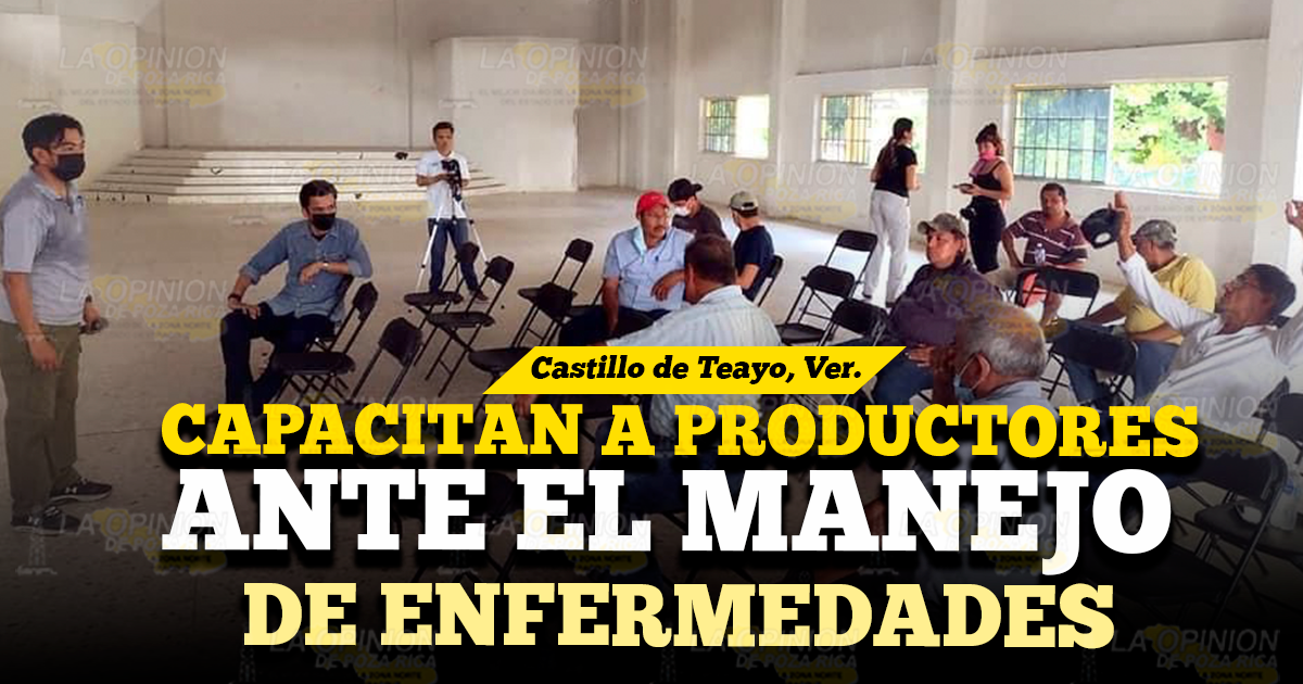 Capacitan a productores ante el manejo de enfermedades Capacitan a productores ante el manejo de enfermedades