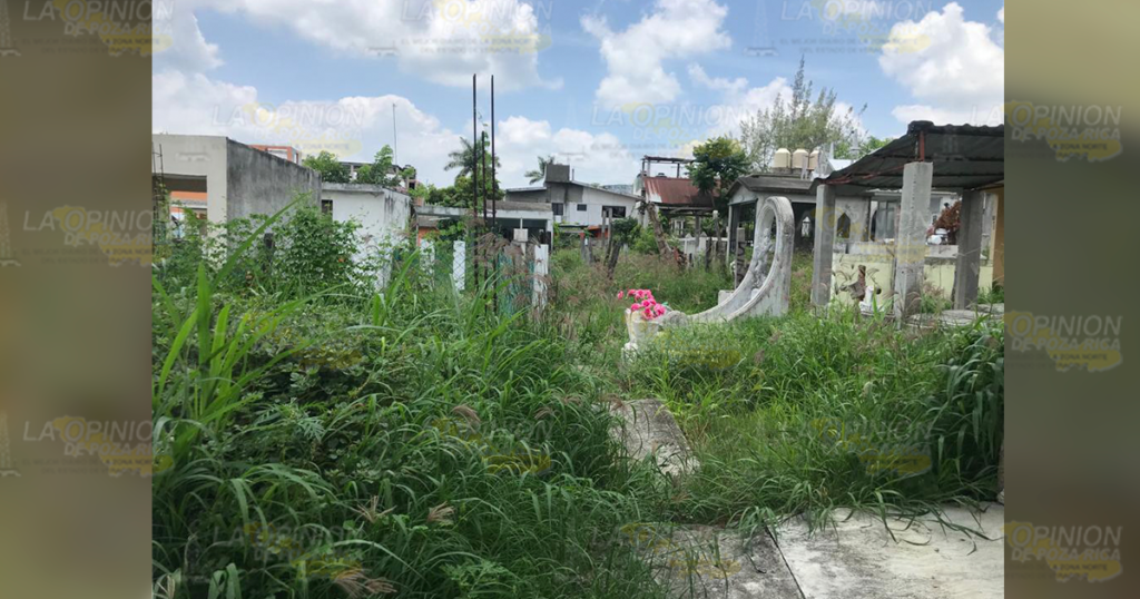 En el abandono el cementerio municipal