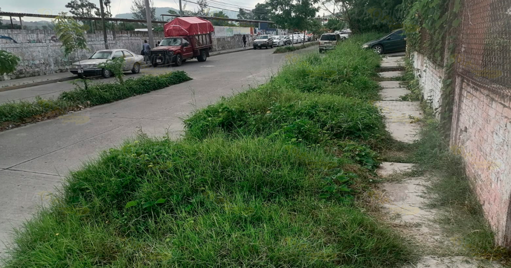 Si no fuera porque hay feria, los camellones seguirían llenos de basura y maleza en Coatzintla