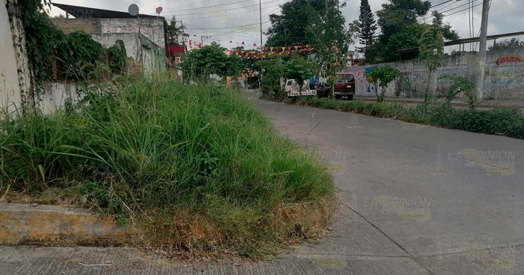 Si no fuera porque hay feria, los camellones seguirían llenos de basura y maleza en Coatzintla