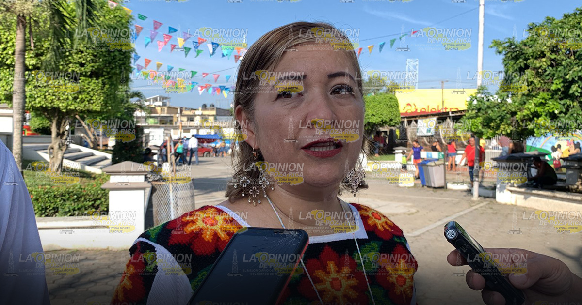 Impulsan programa de reforestación para el cuidado del medio ambiente Impulsan programa de reforestación para el cuidado del medio ambiente