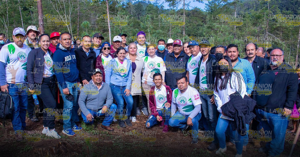 Impulsan programa de reforestación para el cuidado del medio ambiente Impulsan programa de reforestación para el cuidado del medio ambiente