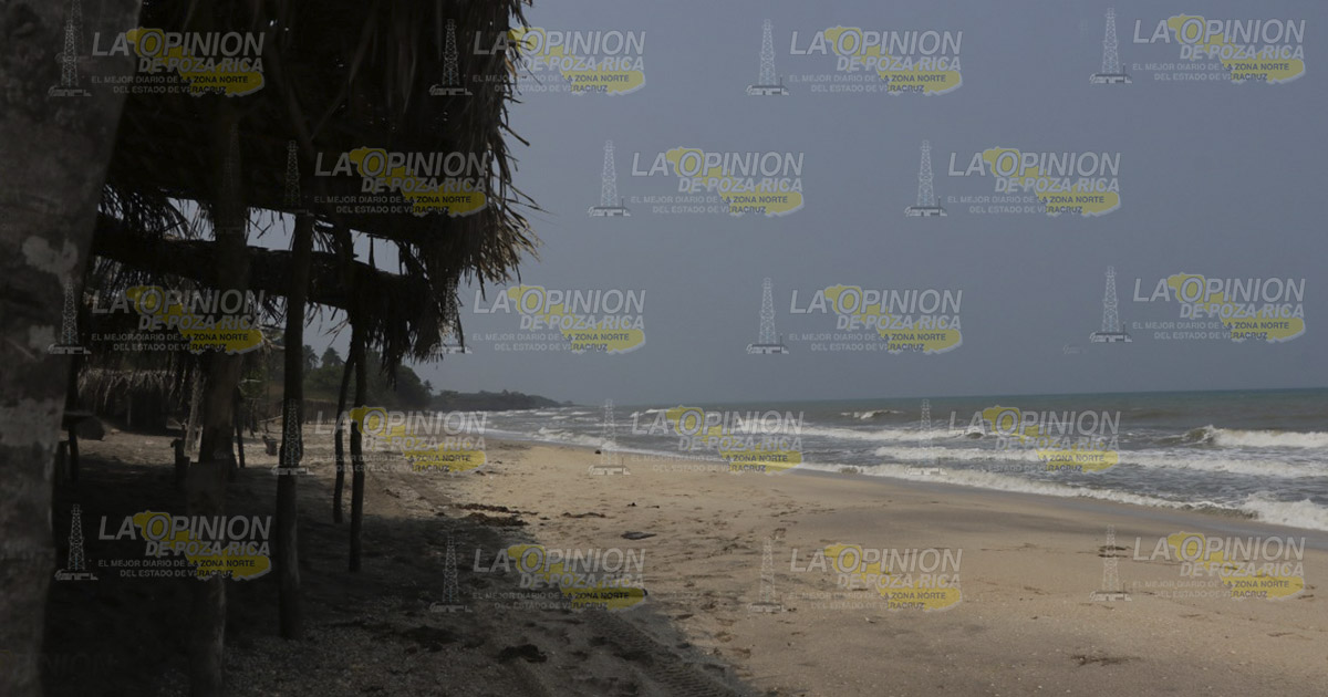 Palapas en plena orilla de playa pone en riesgo a la tortuga marina