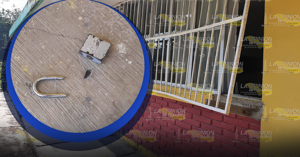 Roban en un Jardín de Niños Roban en un Jardín de Niños