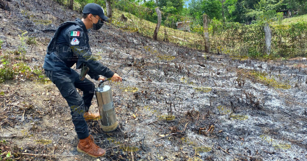 Quema de basura escolar se convirtió en incendio