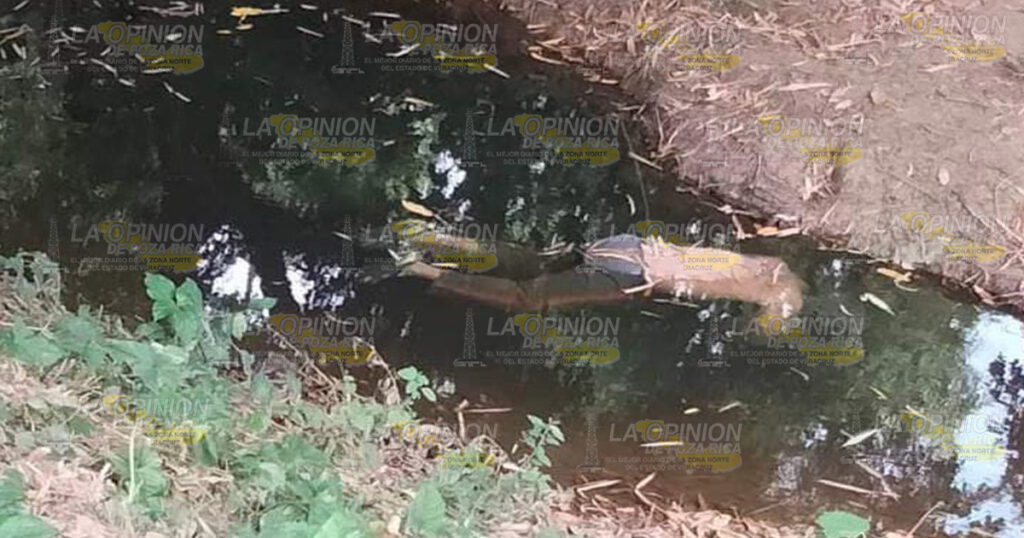 Sale a trabajar y lo encuentran muerto