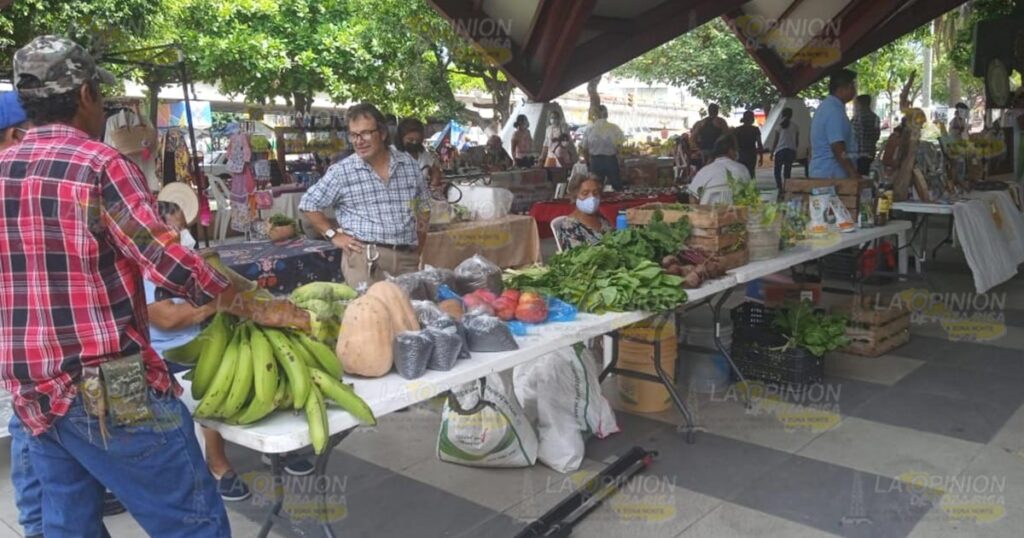 Grandes rendimientos en el campo agrícola con el uso de nuevas tecnologías sin agroquímicos