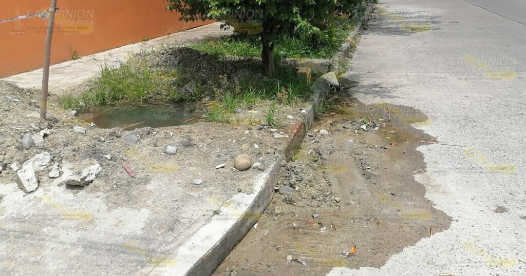 Muchas familias no tienen agua y en la Ruiz, Coatzintla, una fuga lleva más de 6 meses sin ser reparada